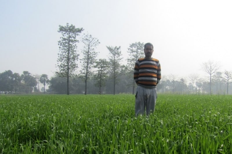 FARM MECHANIZATION 