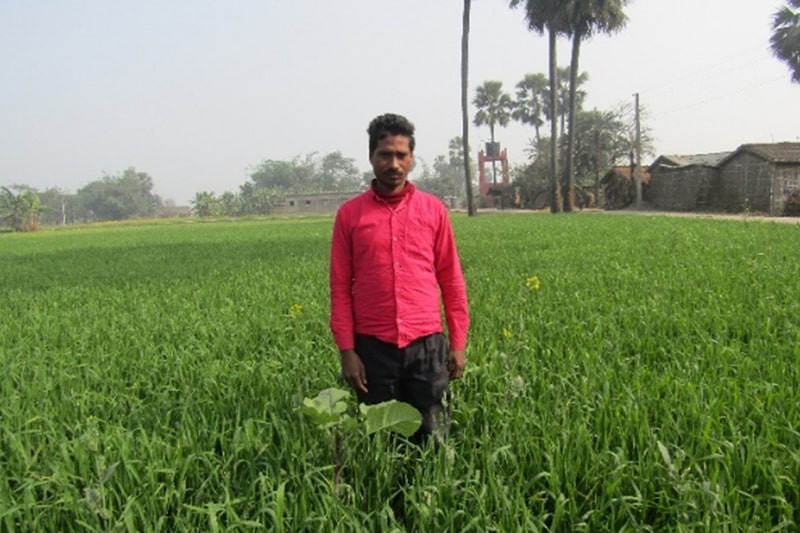 NUTRITION AND CROP PROTECTION DEMONSTRATION: PADDY