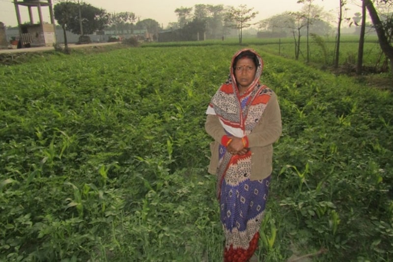 NUTRITION AND CROP PROTECTION DEMONSTRATION: POTATO