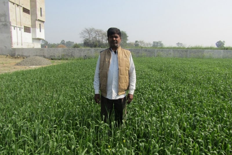 NUTRITION AND CROP PROTECTION DEMONSTRATION: WHEAT