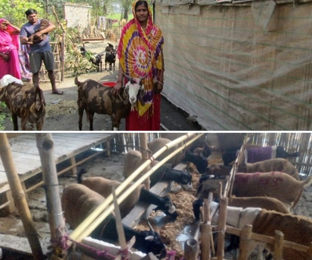 PROMOTION OF GOATERY AS BUSINESS 