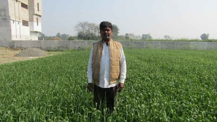 Nutrition and Crop Protection Demonstration: Wheat