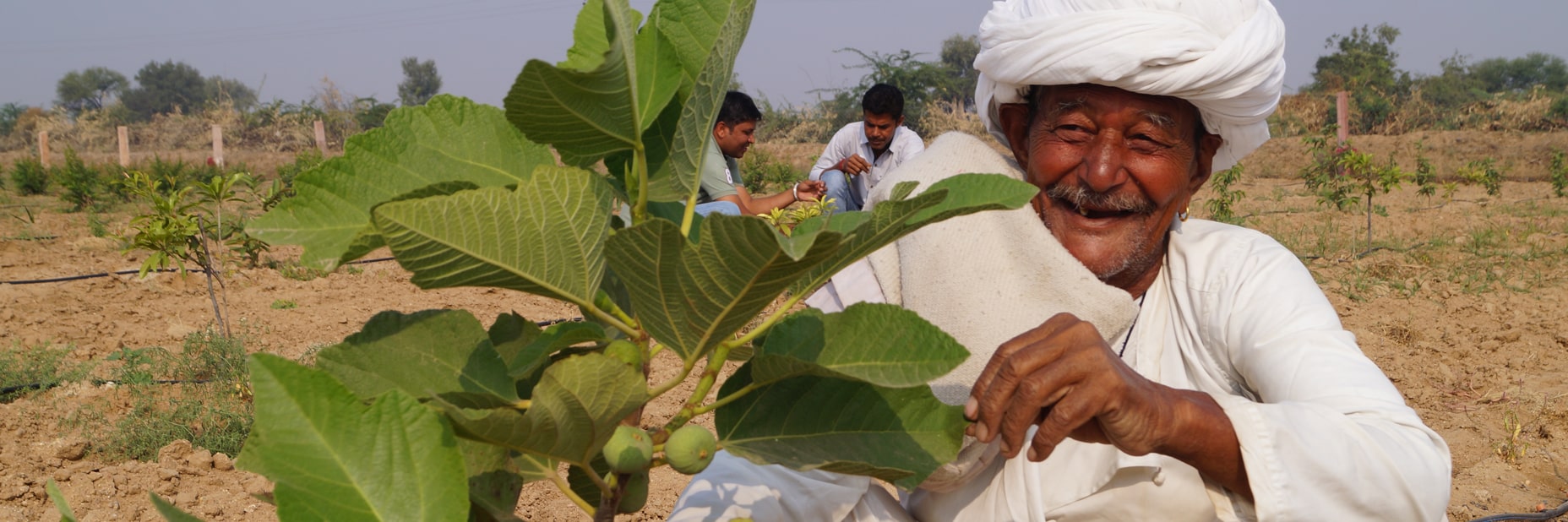 Agriculture Devlopment