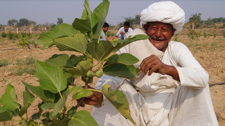 Sustainable Agricultural Water Management