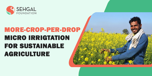 Micro- irrigation for agriculture and sustainable development