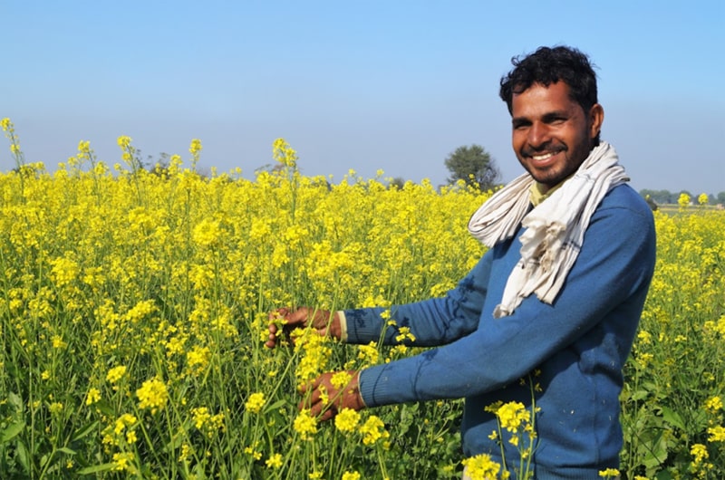 Agricultural development