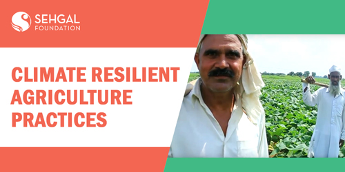 climate-resilient-agriculture-practices