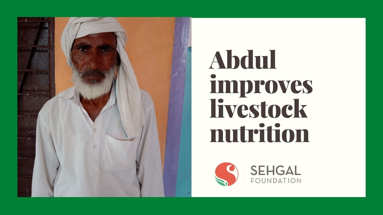 Sehgal Foundation_Livestock nutrition beneficiary