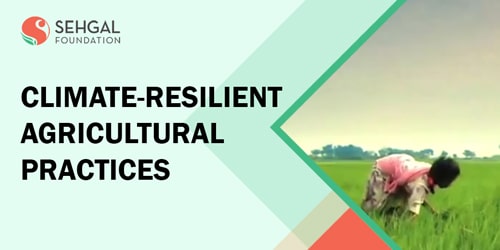 climate-resilient-agricultural-practices-thumb
