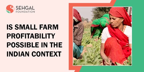 is-small-farm-profitability-possible-In-the-Indian-context-thumb