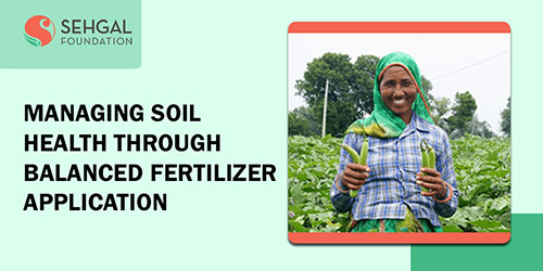 managing-soil-health-through-balanced-fertilizer-application-thumb
