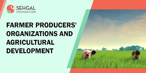 Farmer-Producers-Organizations-and-Agricultural-Developmenty-thumb