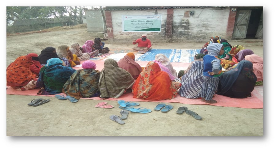 Sangam Samriddhi Farmer 