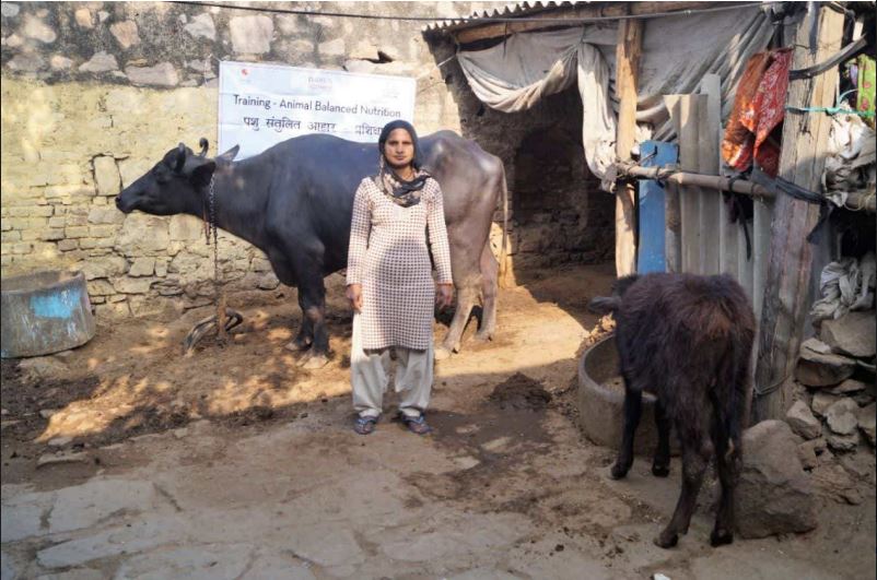 Sunita increases income from milch animal
