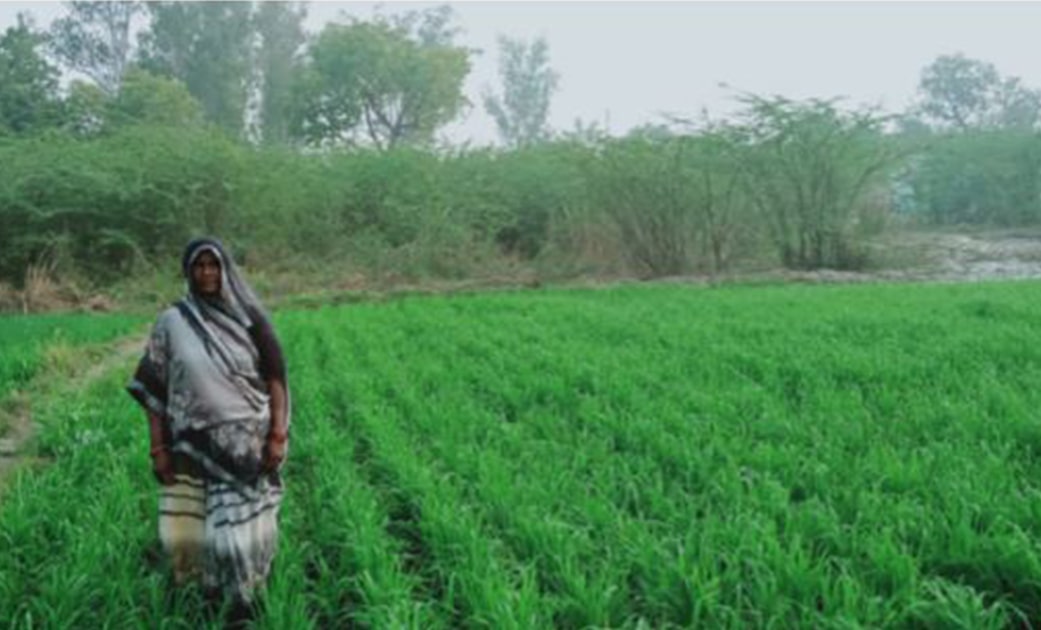 capacity-building-of-farmers