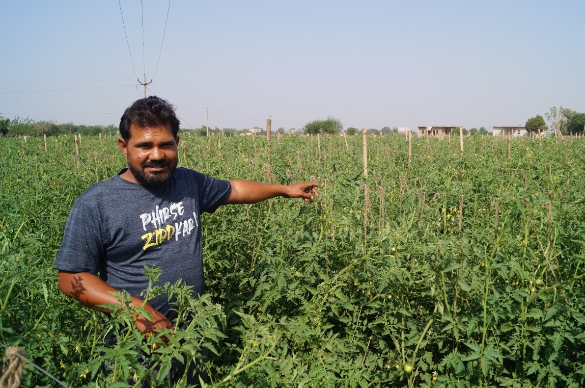 Jameel Drip Irrigation