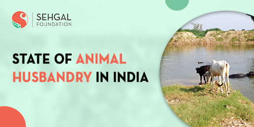 State of Animal Husbandry In India | Rural Development NGO In India