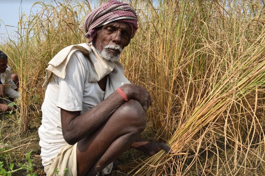 Farm Mechanization - Reinventing Agriculture With New Farming Practices