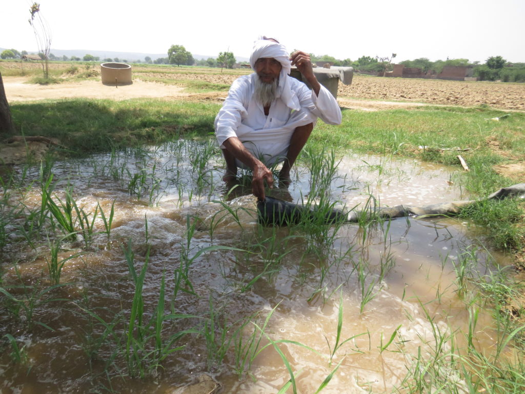 Why irrigation is important in agriculture?