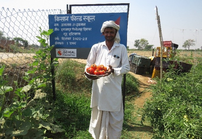 Farmer Field Schools: Nurturing Learning and Experimentation