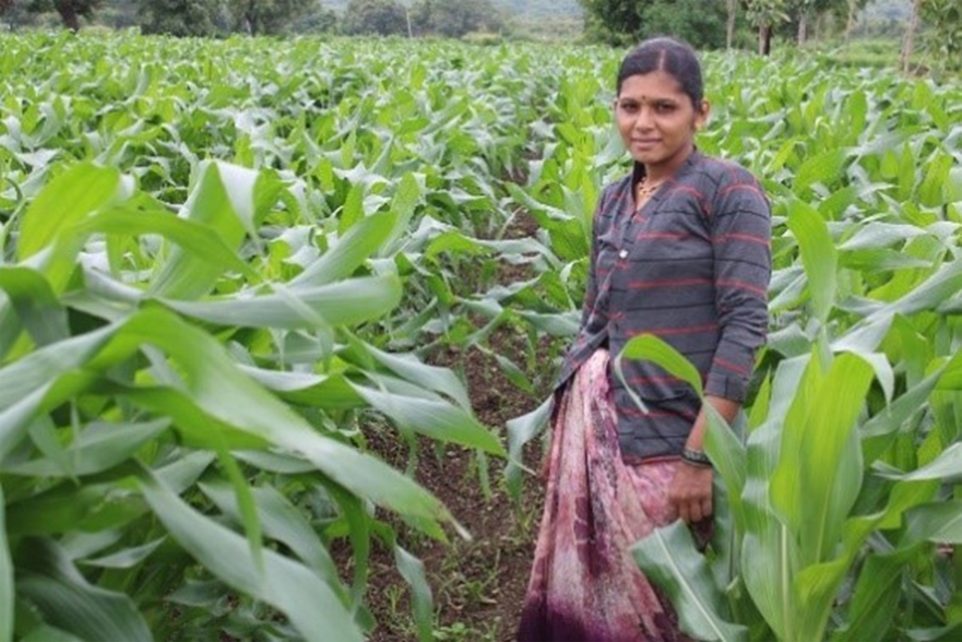 Promoting Gender Equality In Agriculture In India