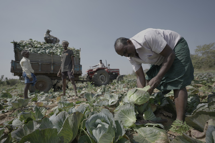 Empowered By Capacity Building And Market Linkages