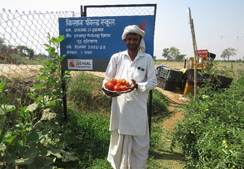 Farmer field schools nurturing learning and experimentation