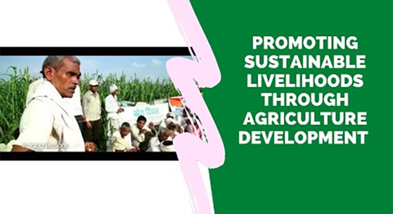 Promoting sustainable livelihoods through agriculture development