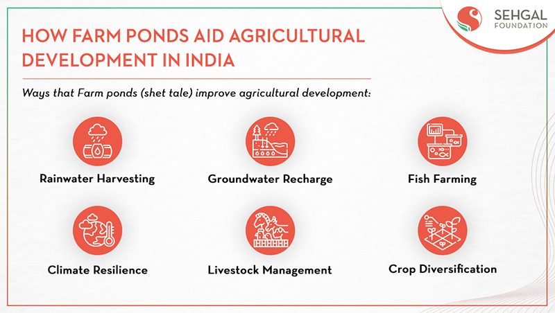 how-farm-ponds-aid-agricultural-development-in-india