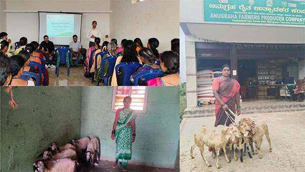Sheep-Rearing Training to FPOs