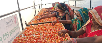 Empowering Women Farmers with Solar Drying in Prayagraj