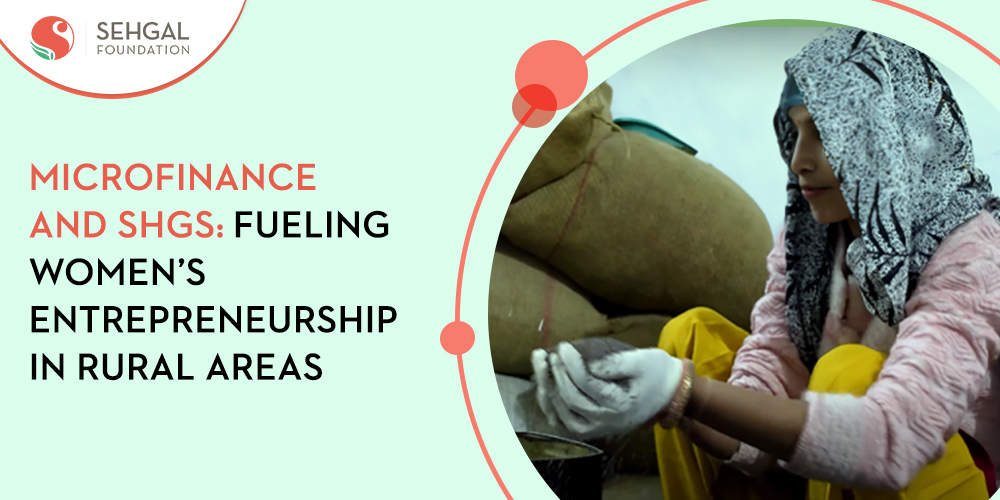 Microfinance and Self-Help Groups (SHGs): Fueling Women’s Entrepreneurship in Rural Areas of India