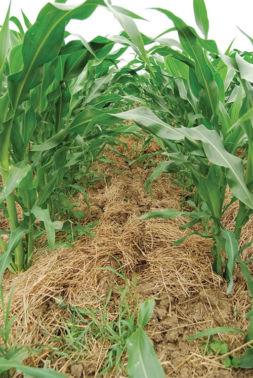 soil health concepts and practices