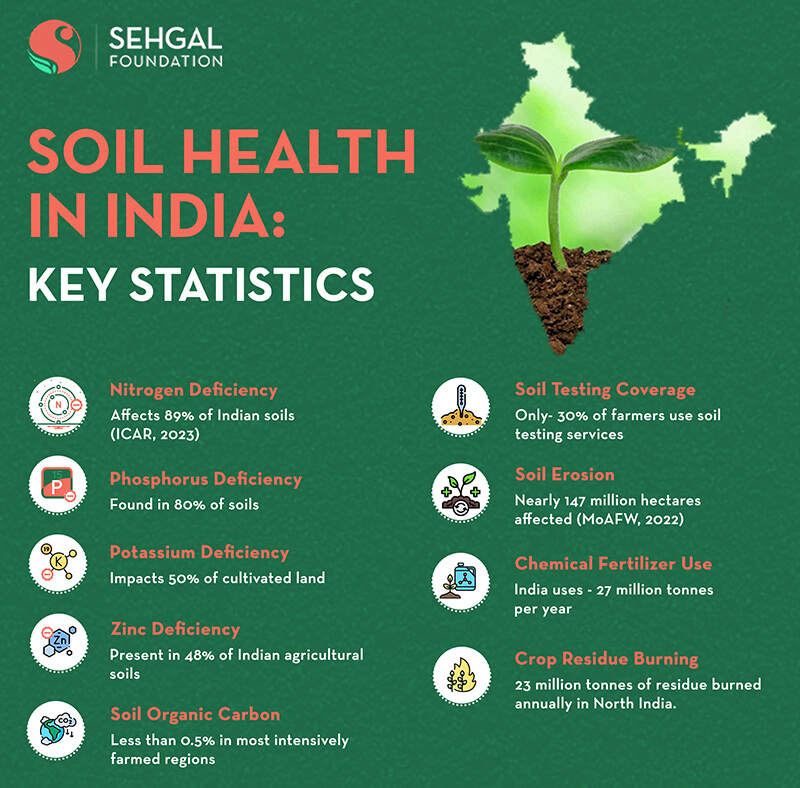 Soil Health in India: Key Statistics