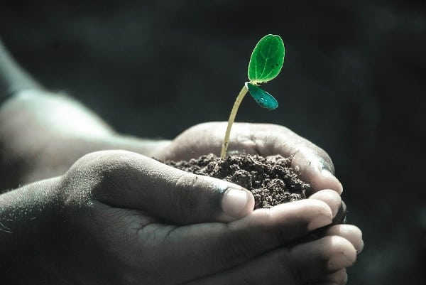 soil moisture conservation methods for beginners