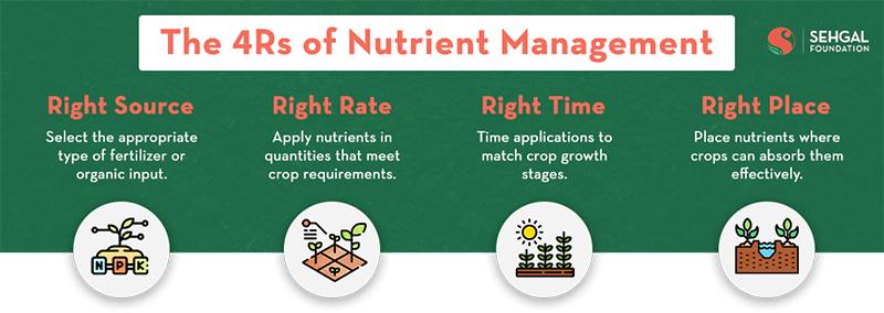 The 4Rs of Nutrient Management