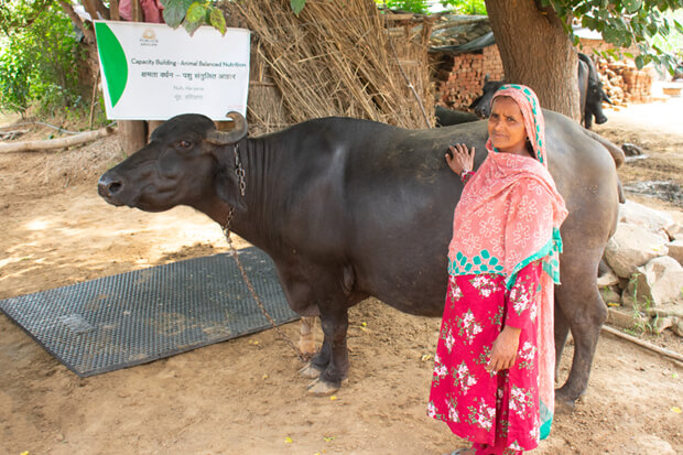 ANIMAL HEALTH AND NUTRITION