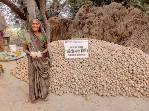 Contract Farming with PepsiCo in Prayagraj