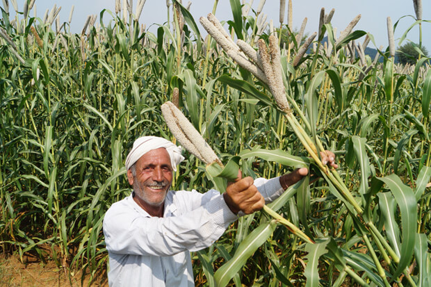 CROP DEMONSTRATIONS