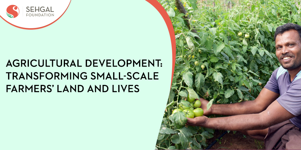 Agricultural Development: Transforming Small-scale Farmers’ Land and Lives