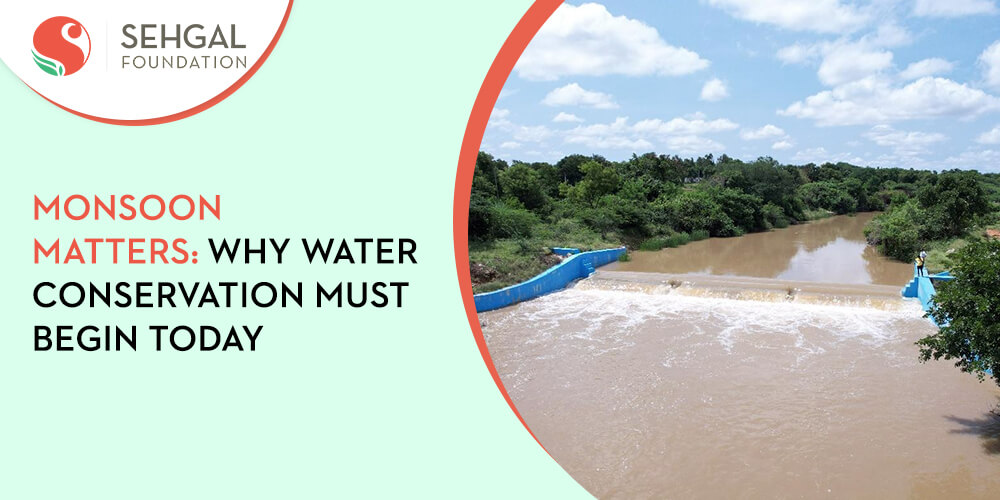 Monsoon Matters: Why Water Conservation Must Begin Today