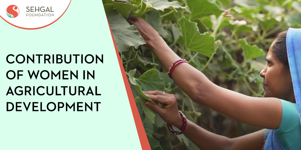 Contribution Of Women In Agricultural Development