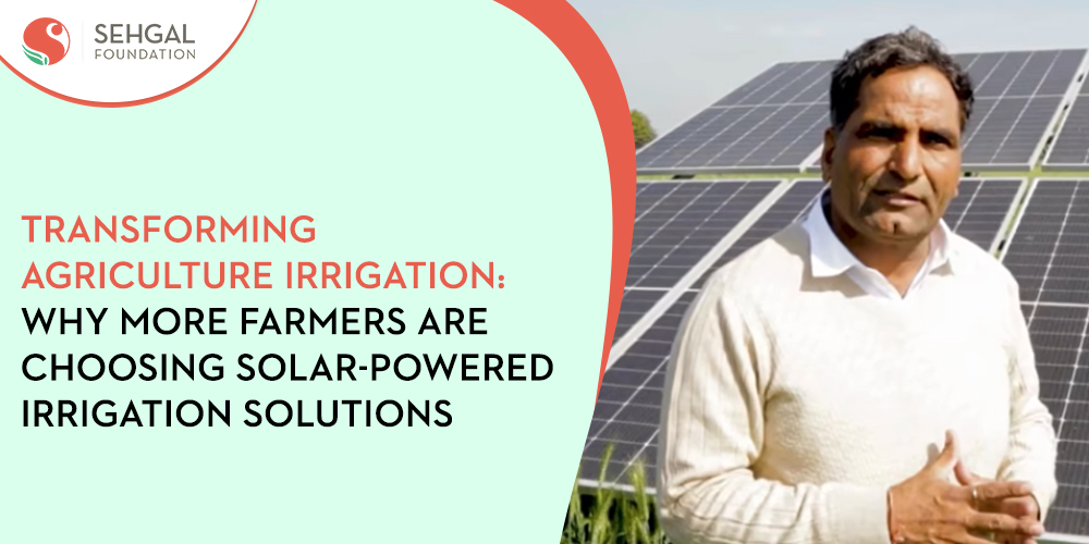Transforming Agriculture Irrigation: Why More Farmers are Choosing Solar-Powered Irrigation Solutions