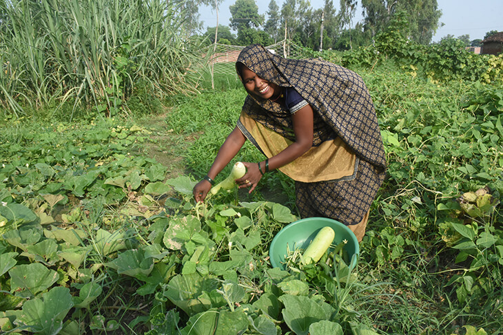 The Vital Role of Women to Indian Agriculture