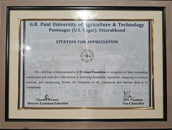 N.P Singh receiving the certificate