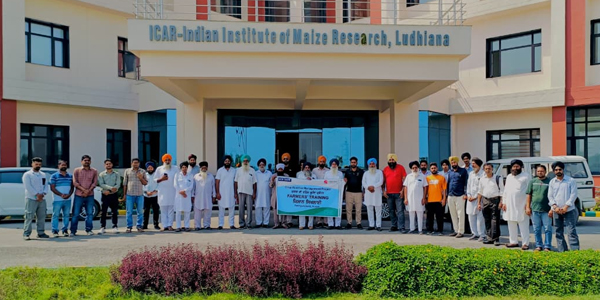 Farmers during field day