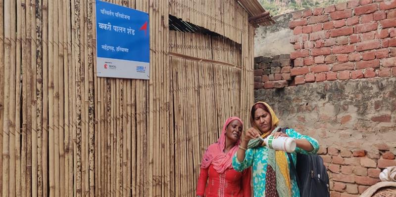 pinki-devi-gaining-trust-as-pashu-sakhi