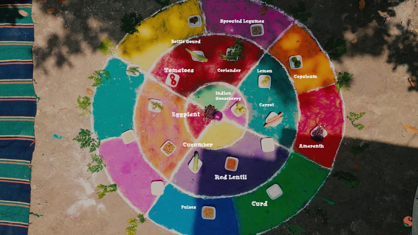 Nutrition for Women and Everyday Health