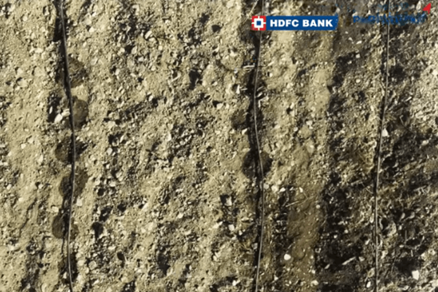 how-does-a-drip-irrigation