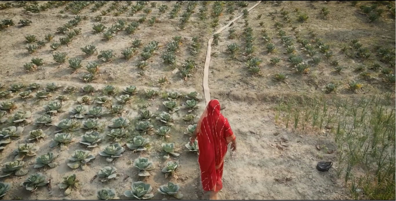 women’s-contributions-to-food-security-on-the-ground